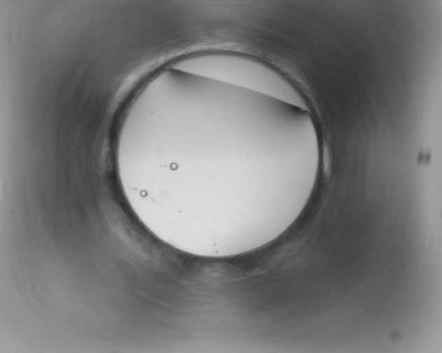 X0000113100579200909182140