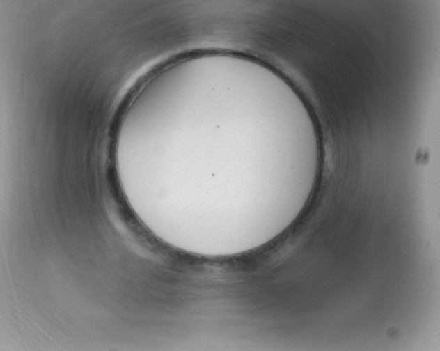 X0000113100580200909182140