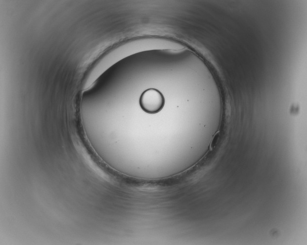 X0000113100581200909182140