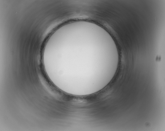 X0000113100582200909182140