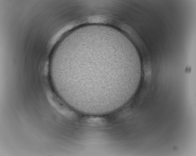 X0000113100583200909182140