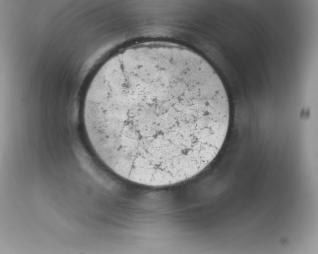 X0000113100584200909182140