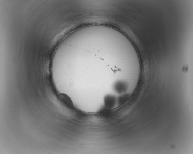 X0000113100585200909182140
