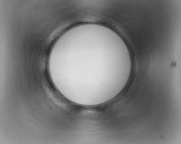X0000113100586200909182140
