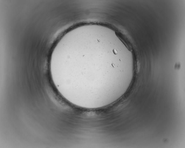 X0000113100588200909182140