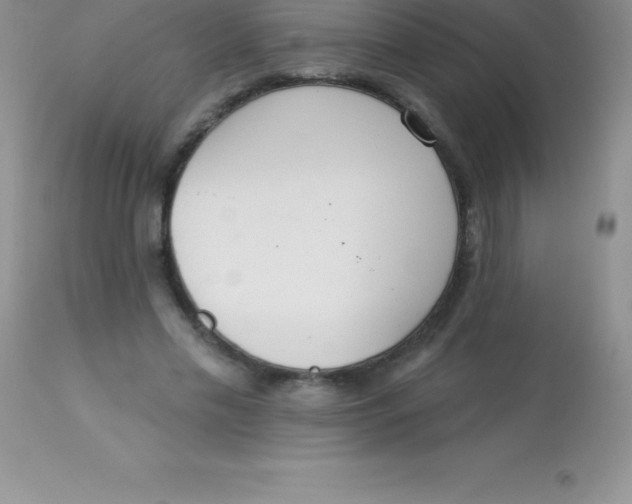 X0000113100589200909182140