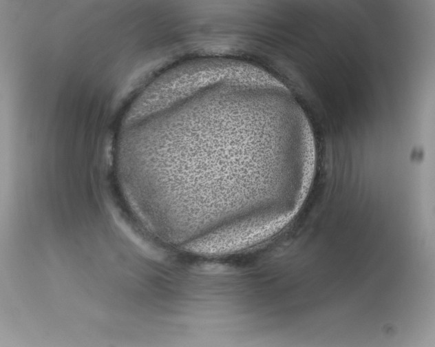 X0000113100590200909182140