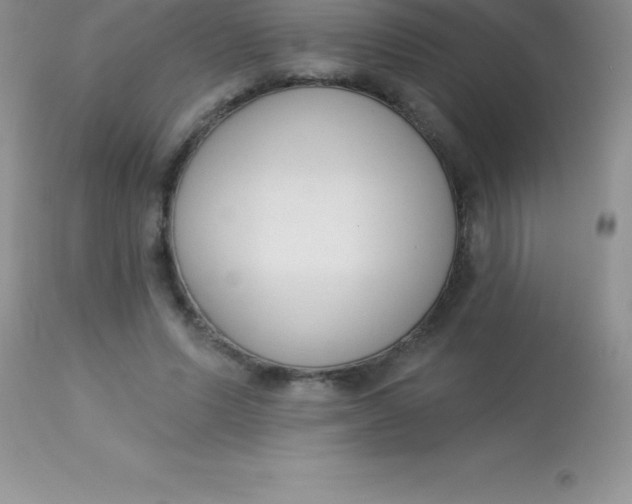 X0000113100591200909182140
