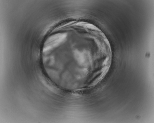 X0000113100592200909182140