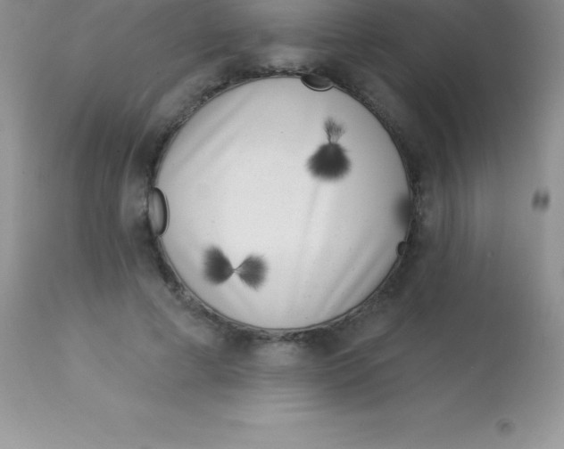 X0000113100593200909182140