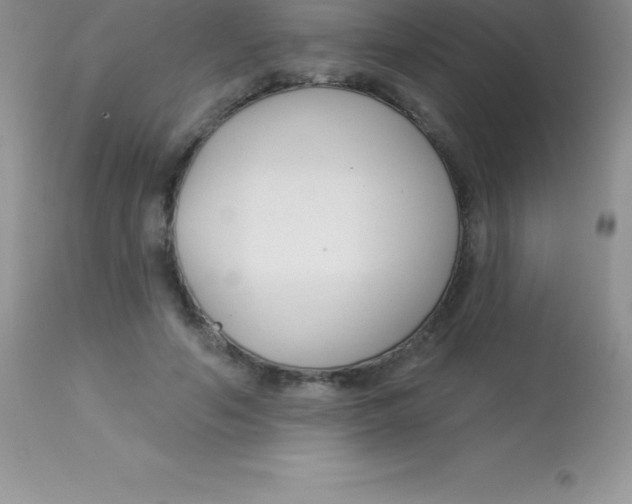 X0000113100594200909182140