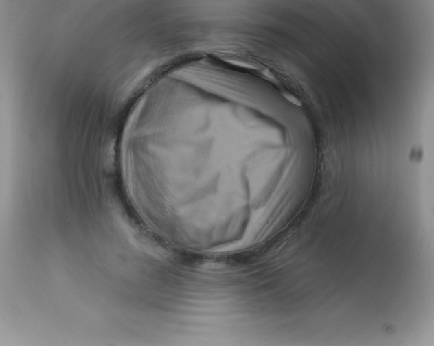 X0000113100596200909182140