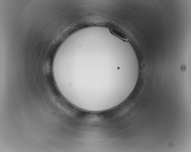 X0000113100597200909182140