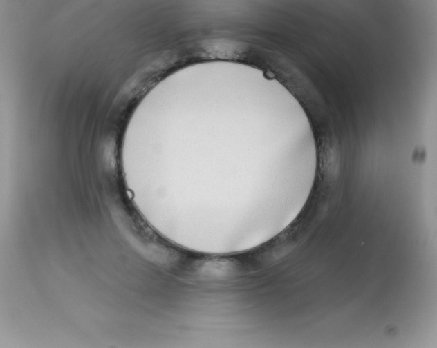 X0000113100599200909182140