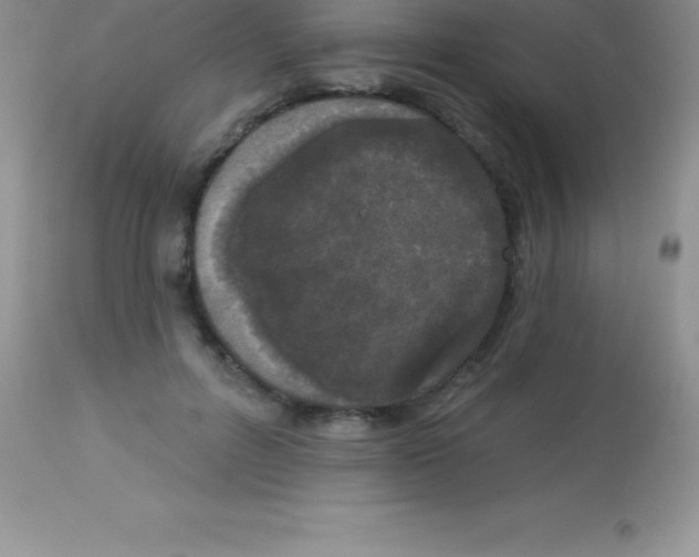 X0000113100600200909182140