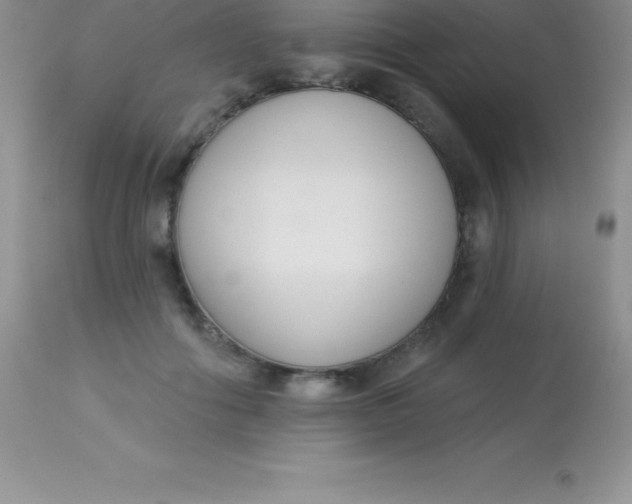 X0000113100602200909182140