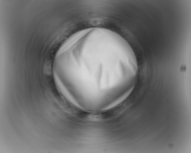 X0000113100606200909182140