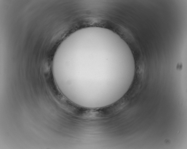 X0000113100607200909182140