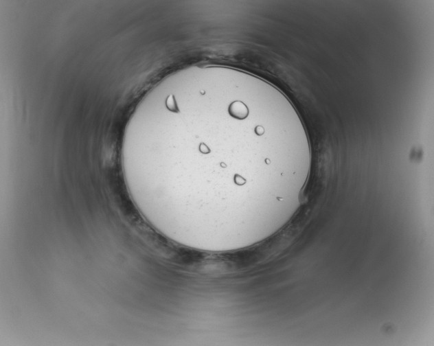 X0000113100608200909182140