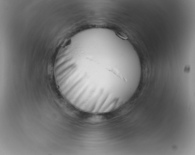 X0000113100609200909182140