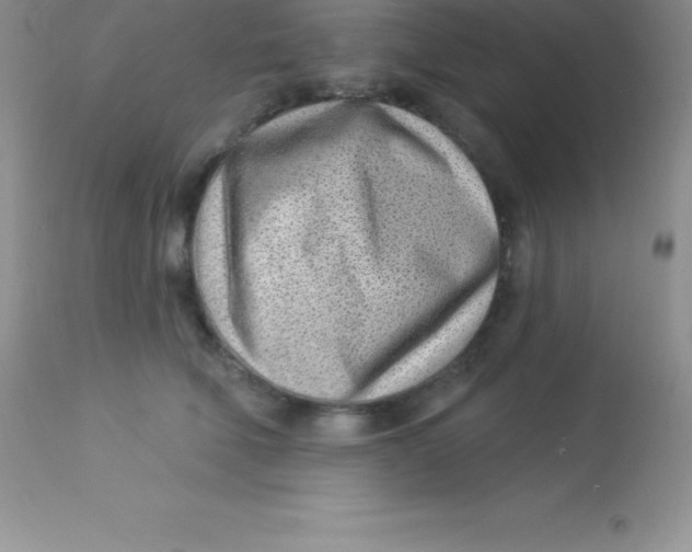 X0000113100610200909182140