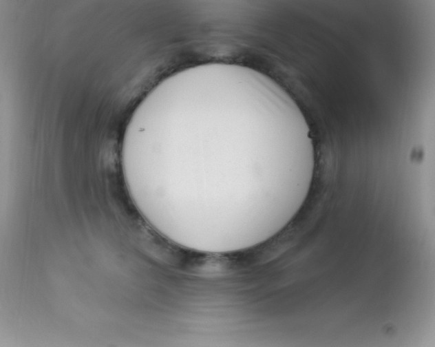 X0000113100612200909182140