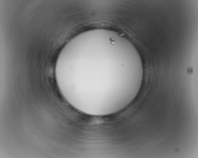 X0000113100613200909182140