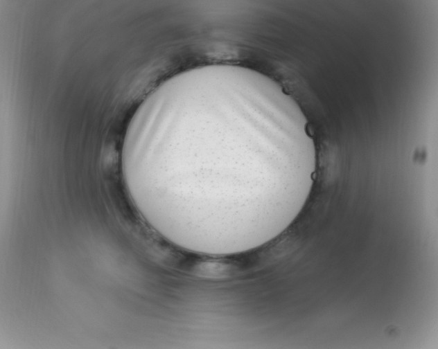 X0000113100614200909182140