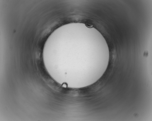 X0000113100615200909182140
