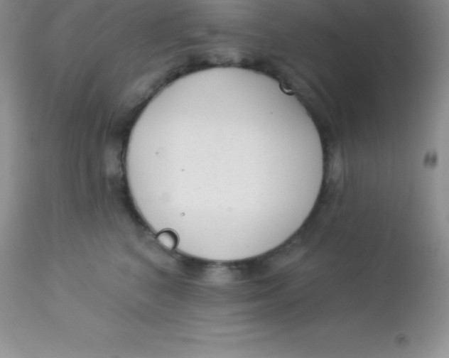 X0000113100616200909182140