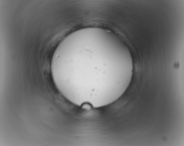 X0000113100617200909182140