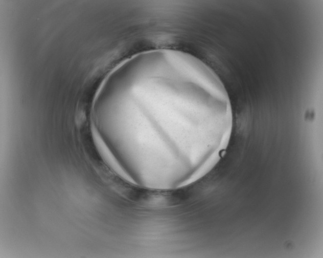 X0000113100618200909182140