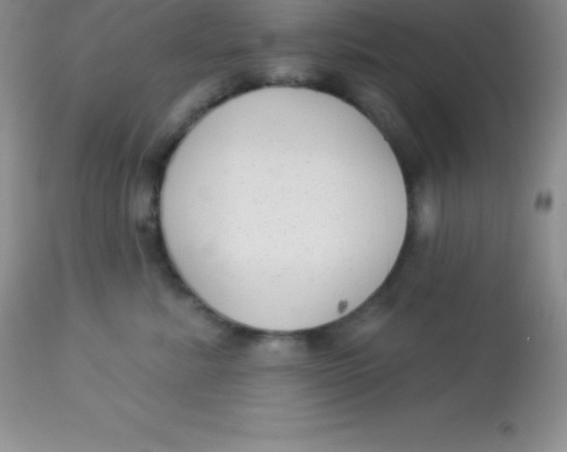X0000113100619200909182140