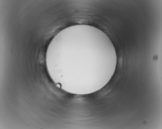 X0000113100620200909182140