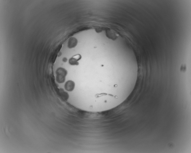 X0000113100621200909182140
