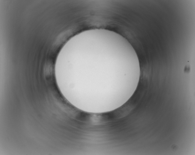 X0000113100623200909182140