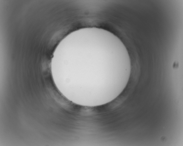 X0000113100624200909182139