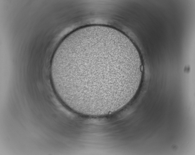 X0000113100625200909182139