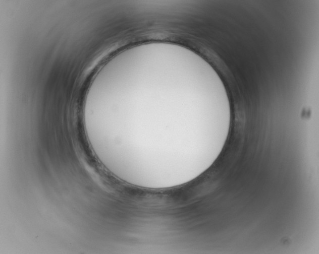 X0000113100626200909182139