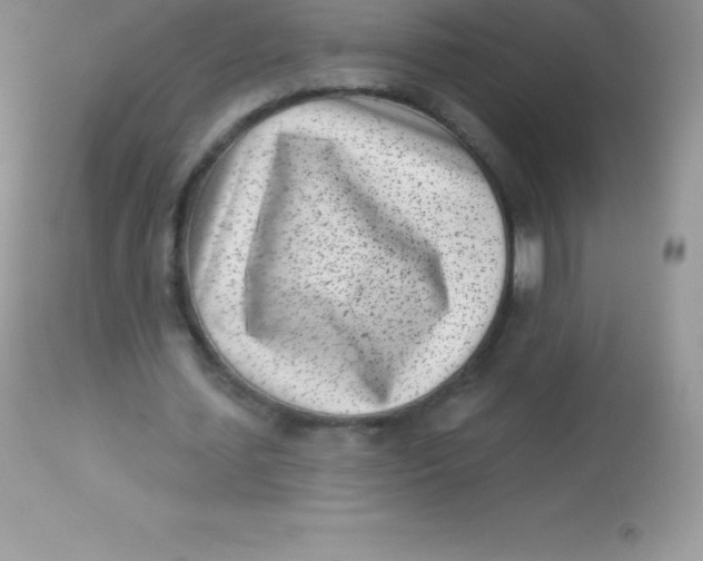 X0000113100627200909182139