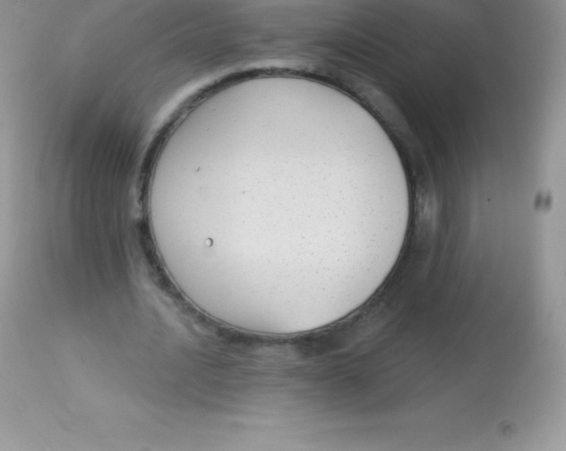 X0000113100628200909182139