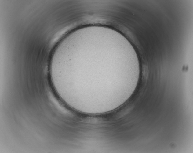 X0000113100629200909182139