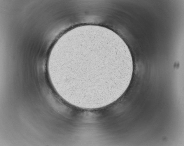 X0000113100632200909182139