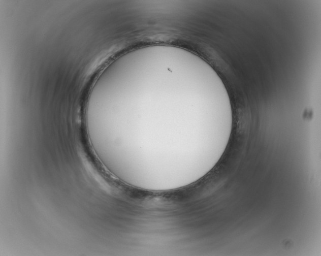 X0000113100634200909182139