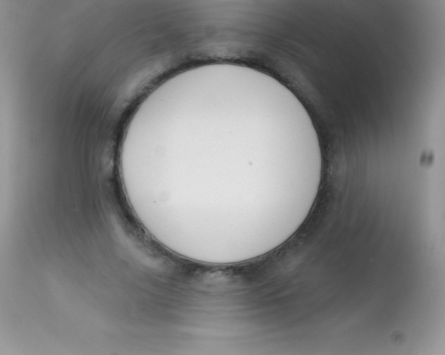 X0000113100635200909182139
