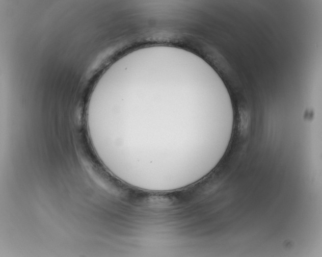 X0000113100636200909182139