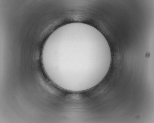 X0000113100639200909182139