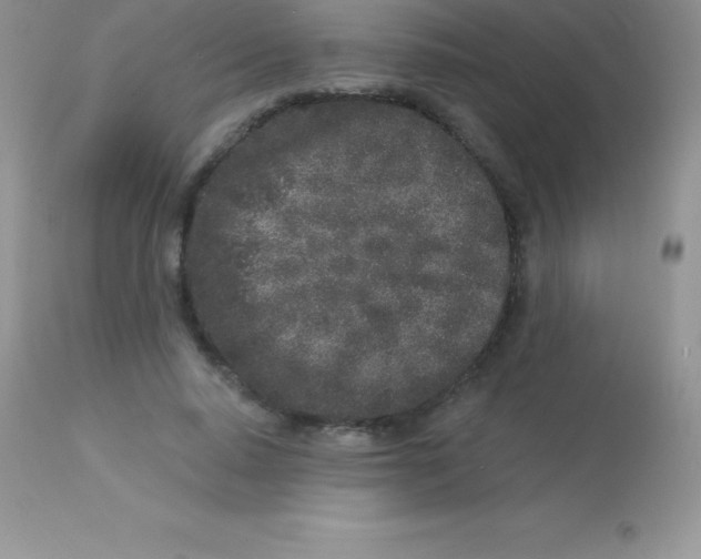 X0000113100640200909182139