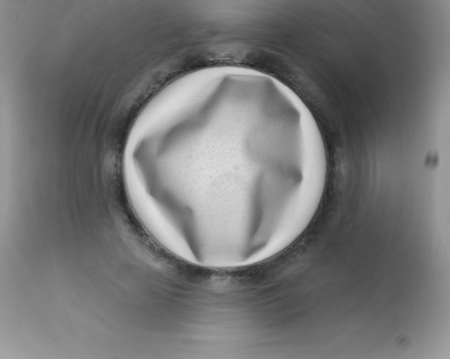 X0000113100641200909182139
