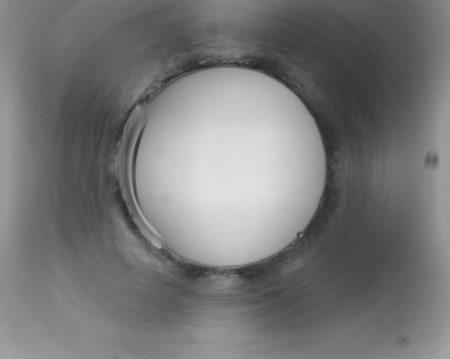 X0000113100642200909182139